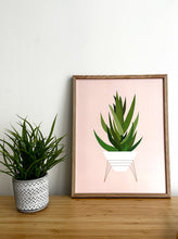 Load image into Gallery viewer, Aloe Plant
