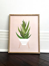 Load image into Gallery viewer, Aloe Plant