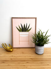 Load image into Gallery viewer, Haworthia Plant