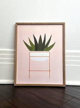 Load image into Gallery viewer, Haworthia Plant