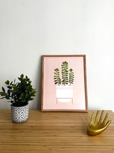 Load image into Gallery viewer, Sedum Plant