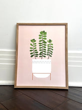 Load image into Gallery viewer, Sedum Plant