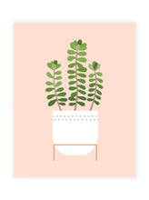 Load image into Gallery viewer, Sedum Plant