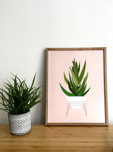 Load image into Gallery viewer, Aloe Plant
