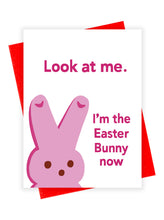 Load image into Gallery viewer, Easter Bunny Now
