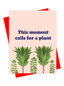 Plant Moment